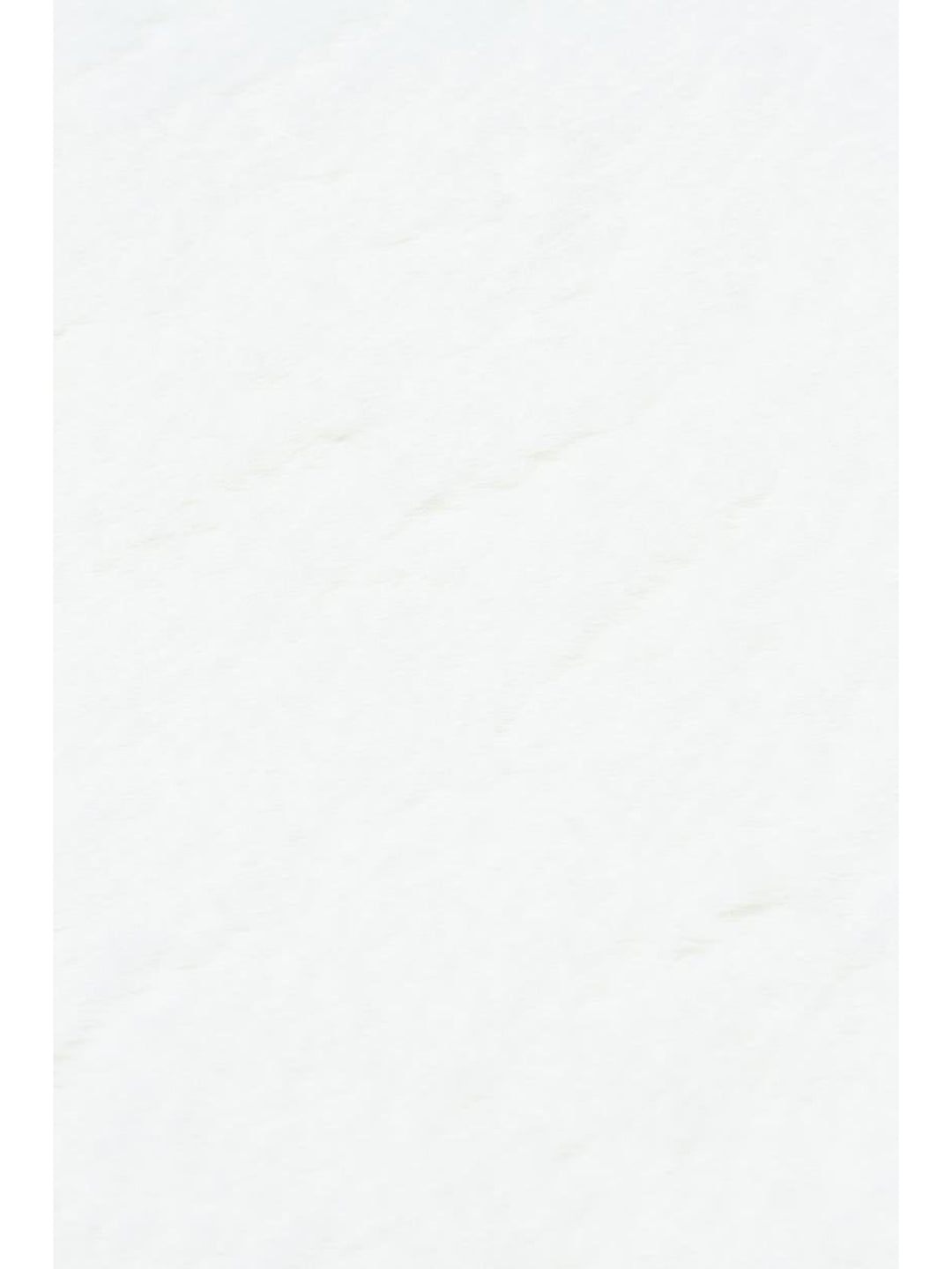 Bunny New Yumuşak Dokulu Uzun Tüylü Yıkanabilir Tavşan Postu WHITE DOUBLE N - Carpetdocia